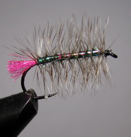 ���� ������ PLM 013 grizzly - peacock  # 6 